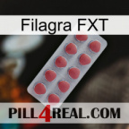 Filagra FXT 18